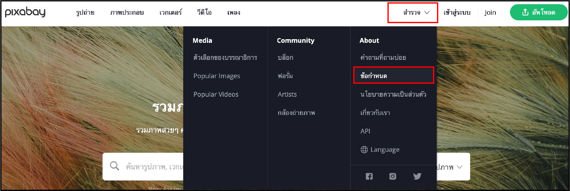 STARTUP NOW---ดาวน์โหลดรูปฟรี---pixabay.com---license