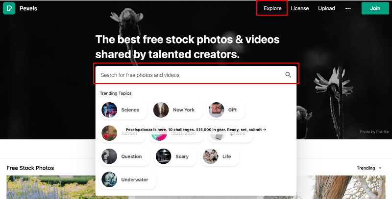 STARTUP NOW---ดาวน์โหลดรูปฟรี---pexels.com---search