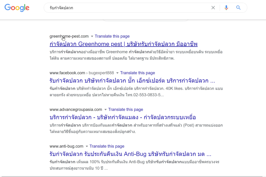 STARTUP NOW---SEO---Google---AdsSTARTUP NOW---SEO---Google---Search